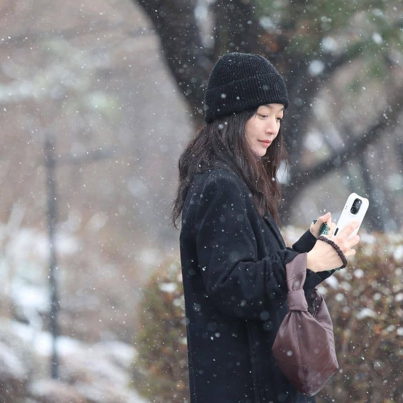 Shin Min-a's Lemaire Fortune Bag (as seen on the blogger)