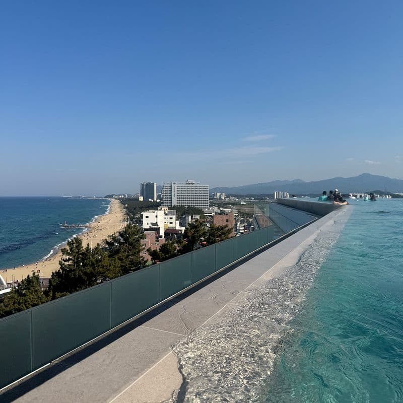 19개월 아기와 우당탕탕 강릉 여행🏖️ (강릉 뷔페, 한우, 순두부 맛집 리스트)