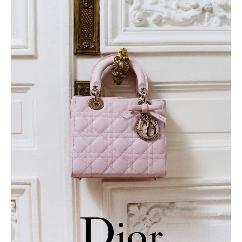 Jonathan Anderson's take on the Dior Lady Bag.