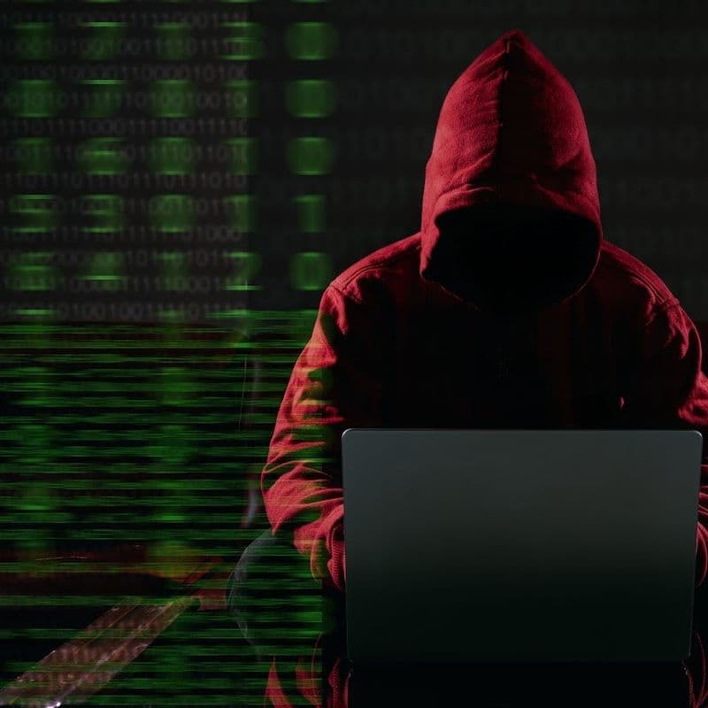 명품 해킹, 국내 책임자 없었다.