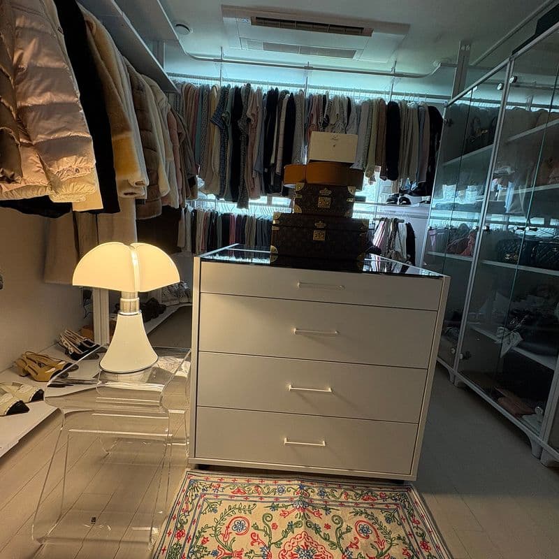 Dressing Room Interior Secrets: Organize Clothes, Bags, and Accessories to Perfection