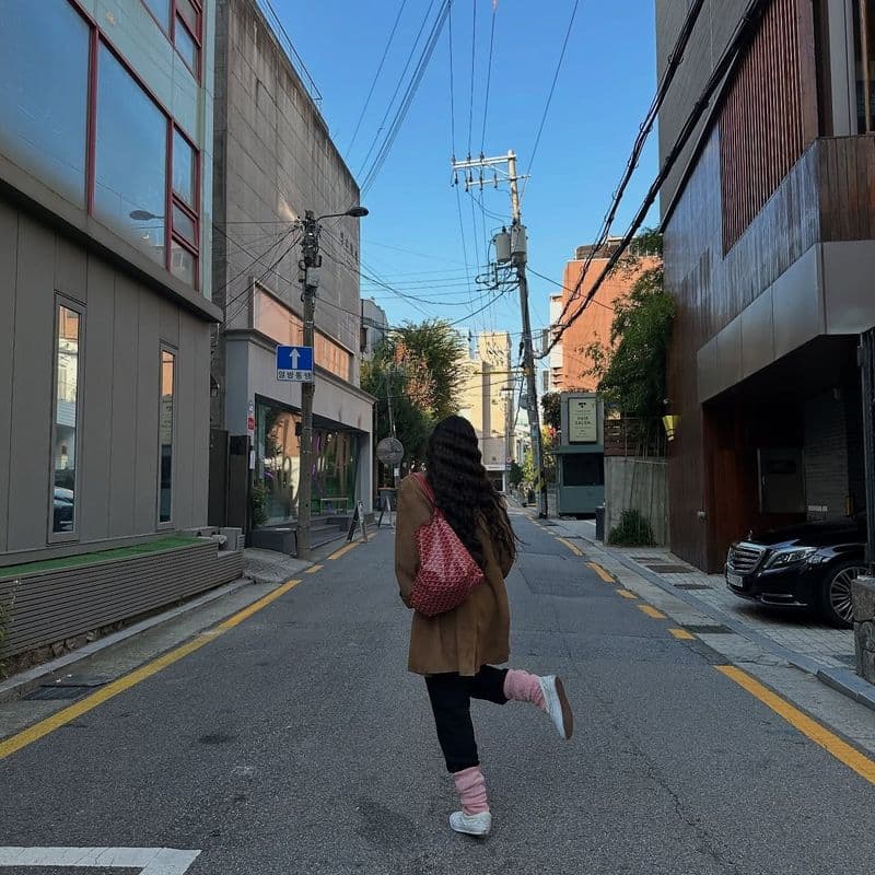 Goyard Bohème, Mini Anjou, and Saint Louis bags: Celeb reviews and how they style them.