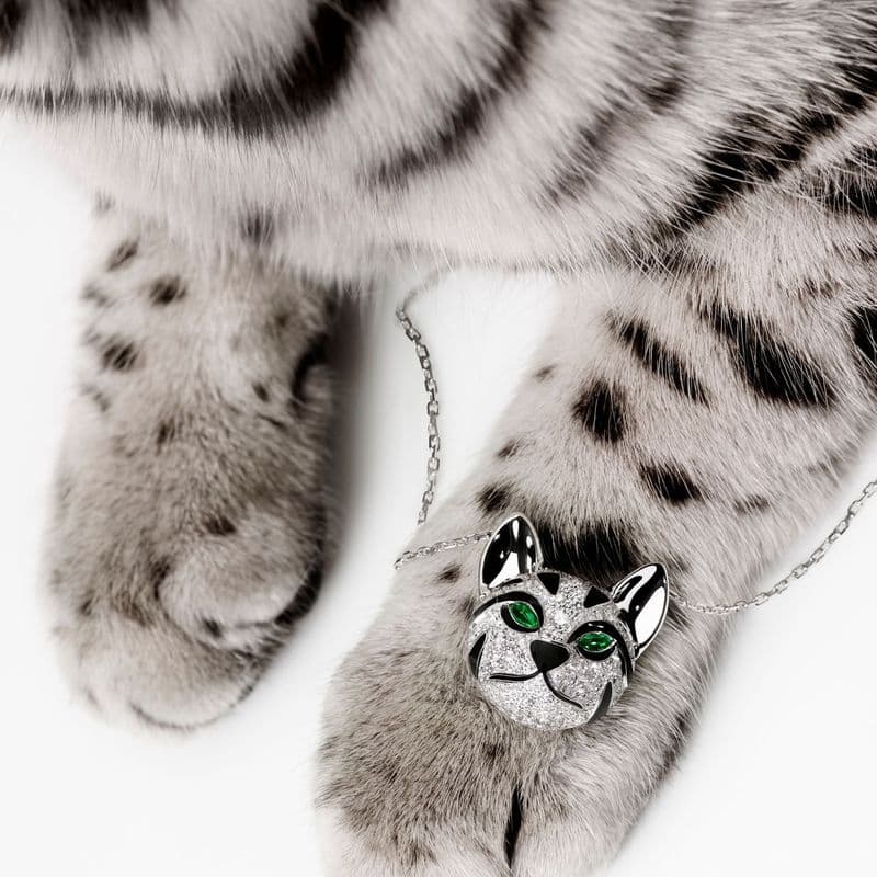 부쉐론(Boucheron) 마스코트 고양이 블라디미르와 퍼지 주얼리 컬렉션