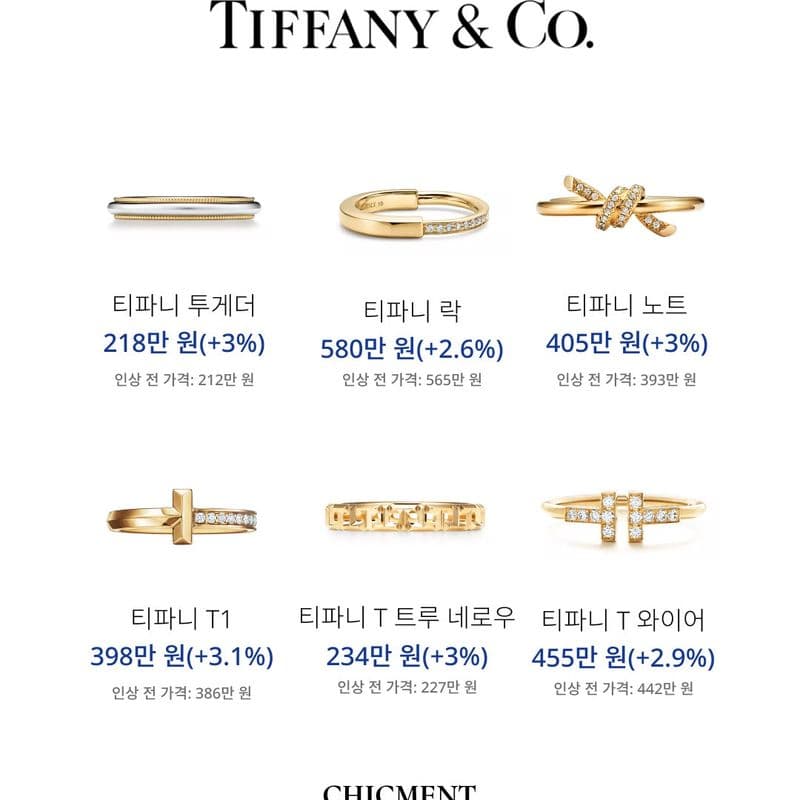 티파니앤코 한눈에 보는 가격 인상 정리｜T1링 얼마나 올랐을까?