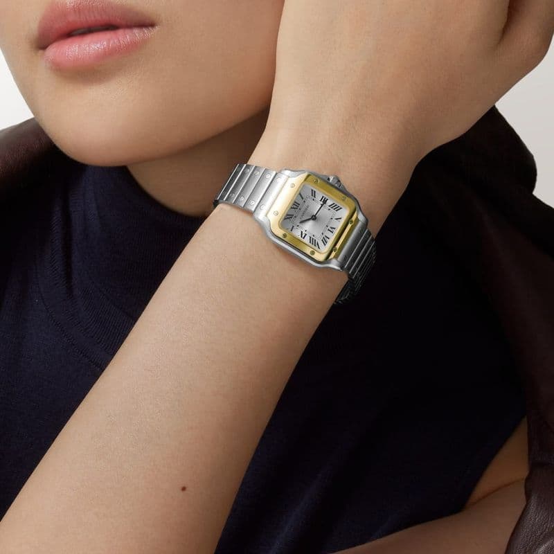 Cartier unveils the new Santos de Cartier watch in a small size, crafted in titanium.