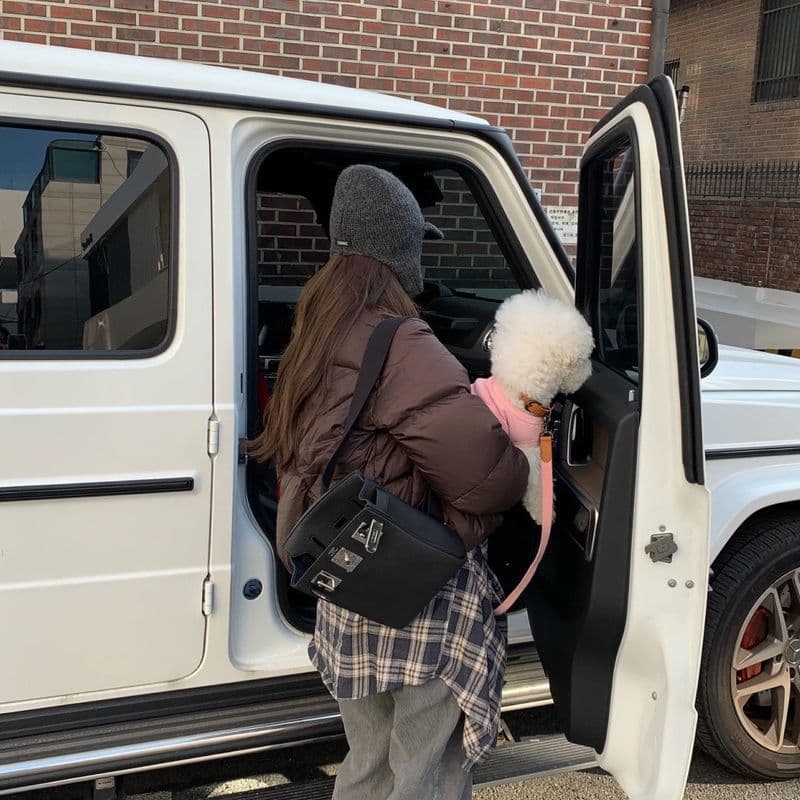 차정원 인스타 패션 가방 정보｜에르메스·보테가베네타·프라다