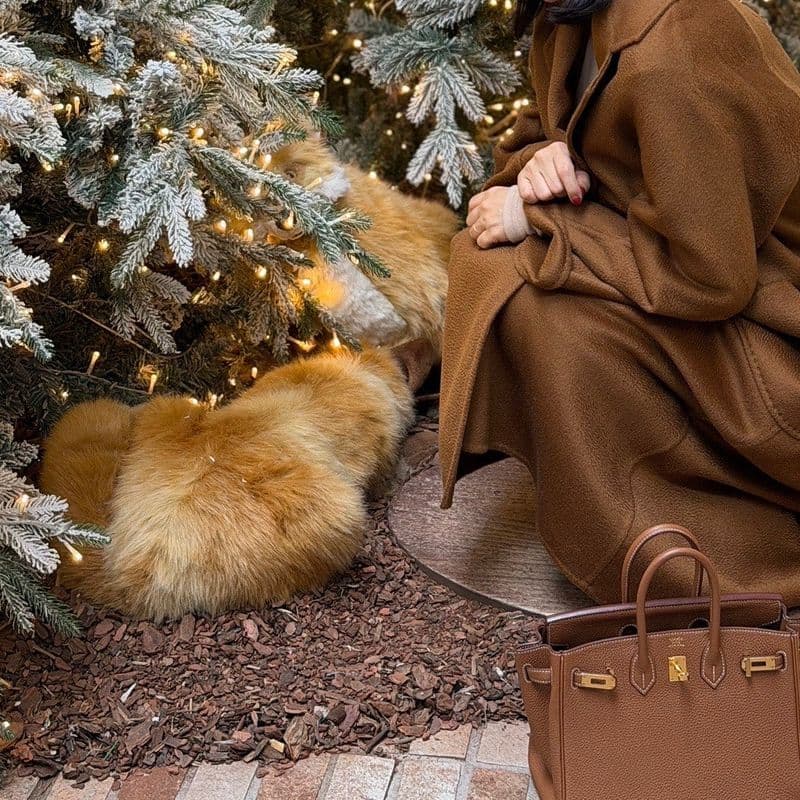 막스마라 코트 3가지 비교｜루드밀라(구.라브로)·S막스마라·후드 반코트 착용 후기