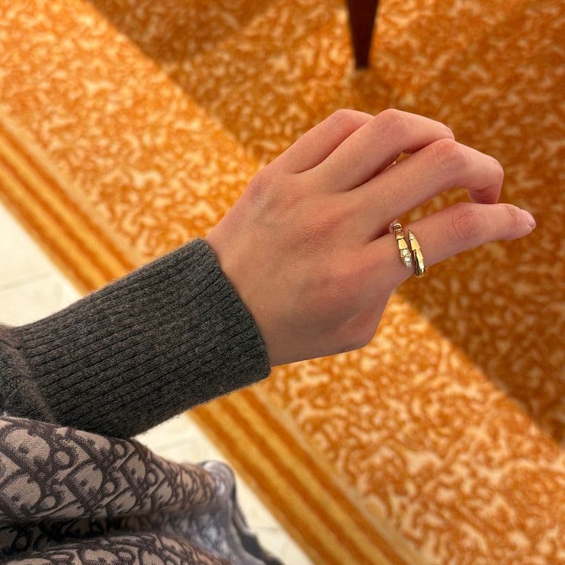 불가리 세르펜티 할인 구매 팁｜가격 인상 전 데미 파베 반지·플레인 귀걸이 구매 후기