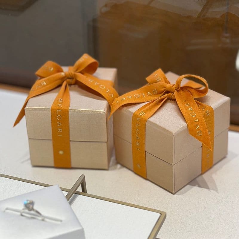  불가리 세르펜티 팔찌 컬러 비교 | 옐로우골드·로즈골드·화이트골드 데미파베·풀파베 선택 과정 