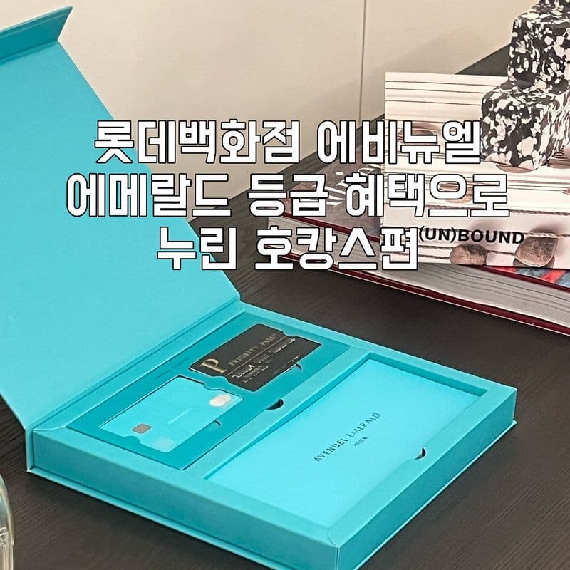 롯데백화점 에메랄드 혜택 총정리 | VIP 호텔 바우처로 연 4박 호캉스 후기 (포인트 활용 꿀팁)