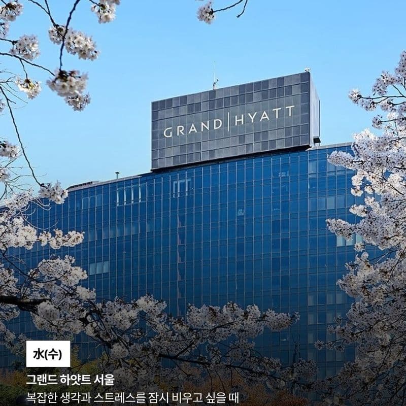 내 사주에 맞는 호텔 추천｜오행별 '기운 맛집' 호텔 총정리