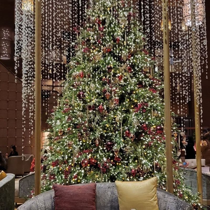 How to enjoy a 5-star hotel lounge for free with your Shinhan Card.