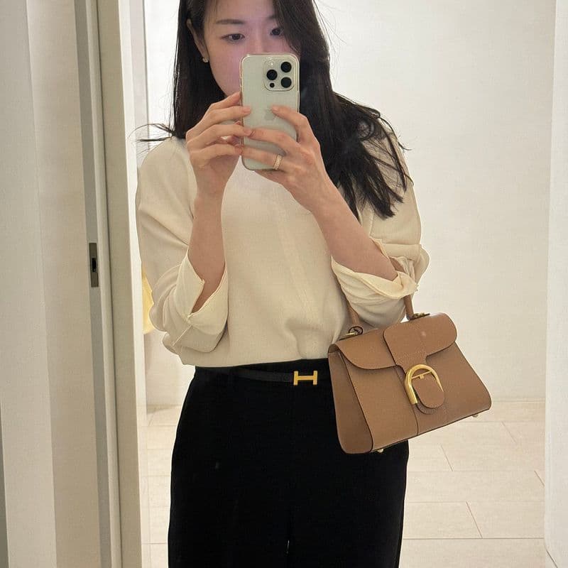 Luxury without the label: The Delvaux Brillant Mini Visone – a versatile essential for any wardrobe.