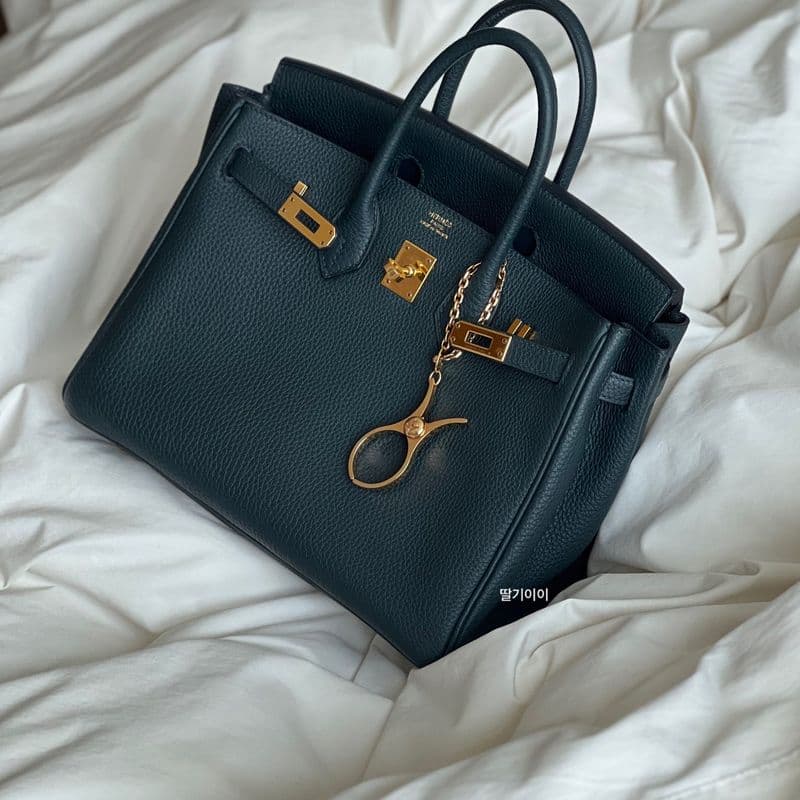 Hermès Birkin 25 Vert Rousseau vs. Black: A Comparison