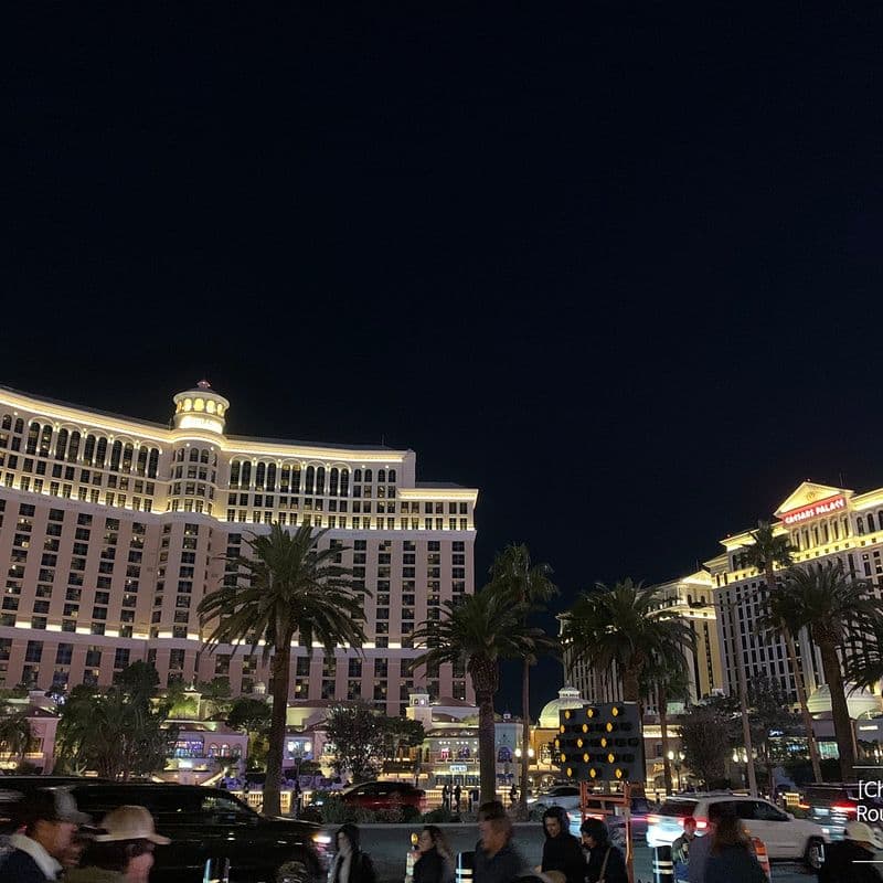 Here's a suggested itinerary for your Las Vegas trip.