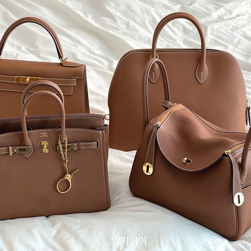 에르메스 골드금장 버킨, 켈리, 린디, 볼리드 비교 후기