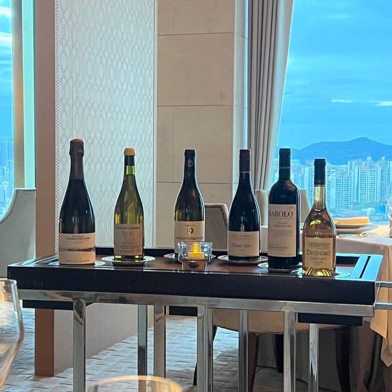 Just as impressive as the black and white chefs! My review of the Continental dinner fine dining experience at the Shilla Hotel.