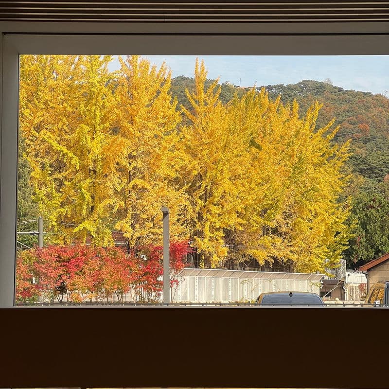 불가리 전시회 후기와 삼청동 가을 데이트 장소 추천