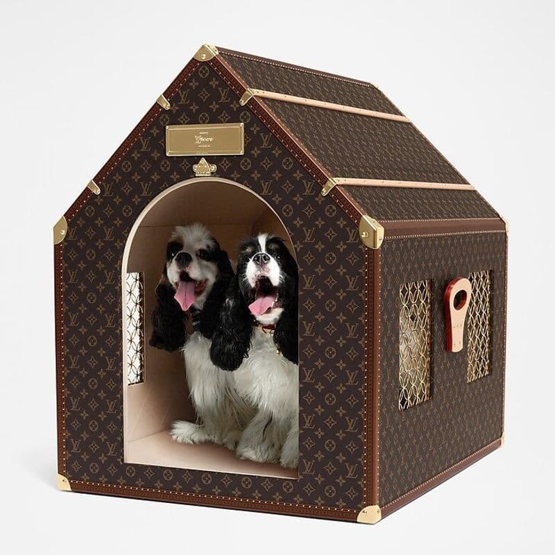 Louis Vuitton Launches Ultra-Luxury Pet Collection