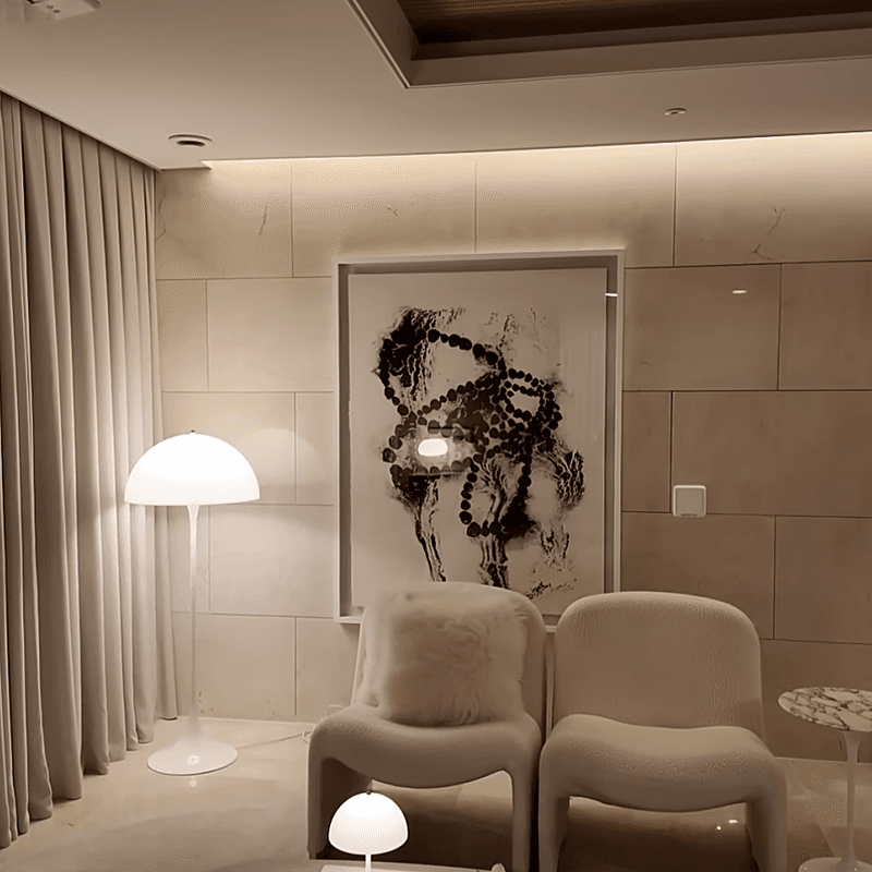 환승연애2 이나연, 럭셔리한 거실 인테리어 공개