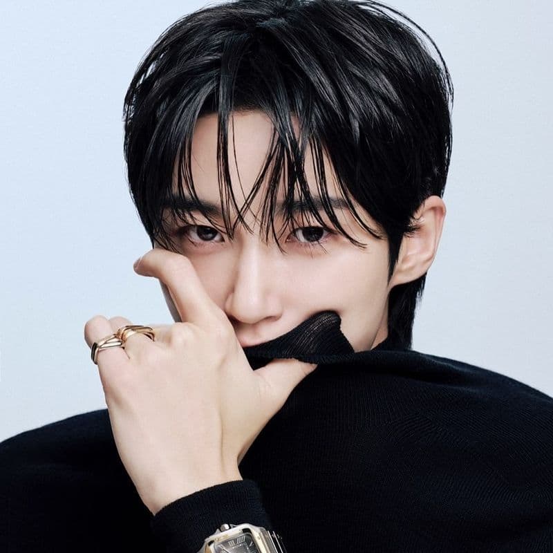 변우석, 까르띠에 새로운 앰버서더로 선정