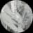 user_profile_image