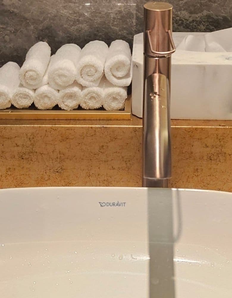 고야드 생루이백 블랙