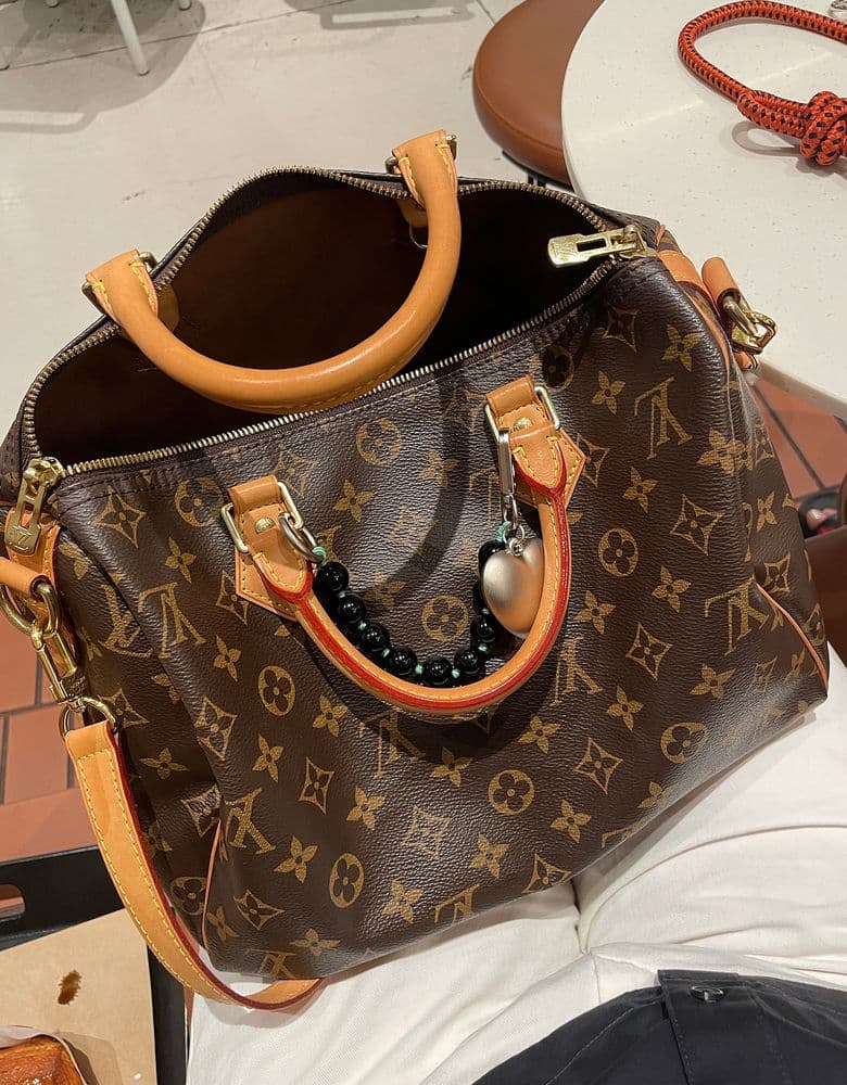 Louis Vuitton Speedy