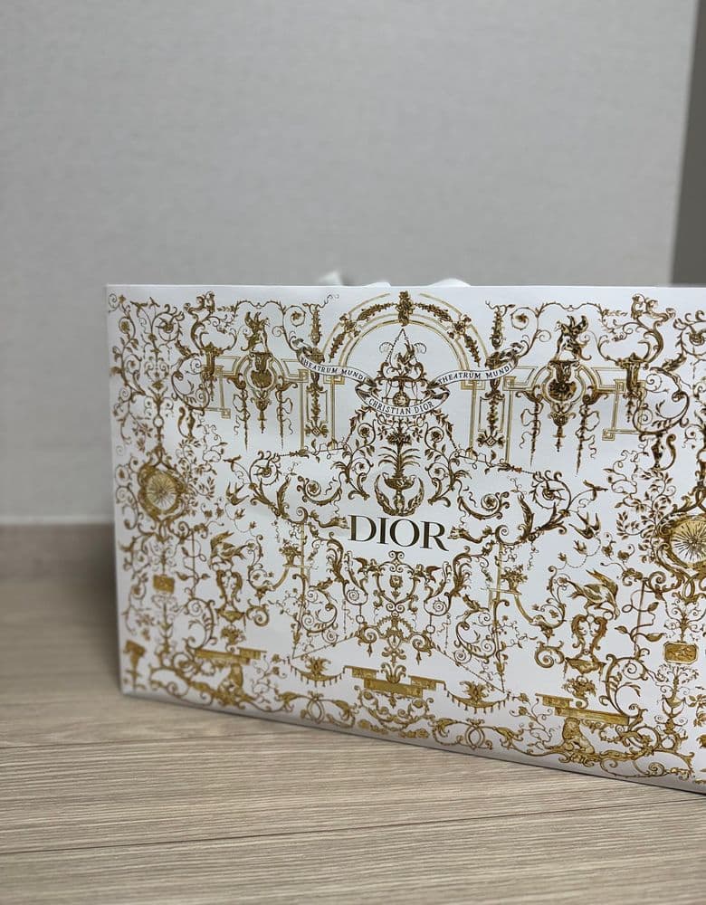 Dior Cruise Vibe Sneakers