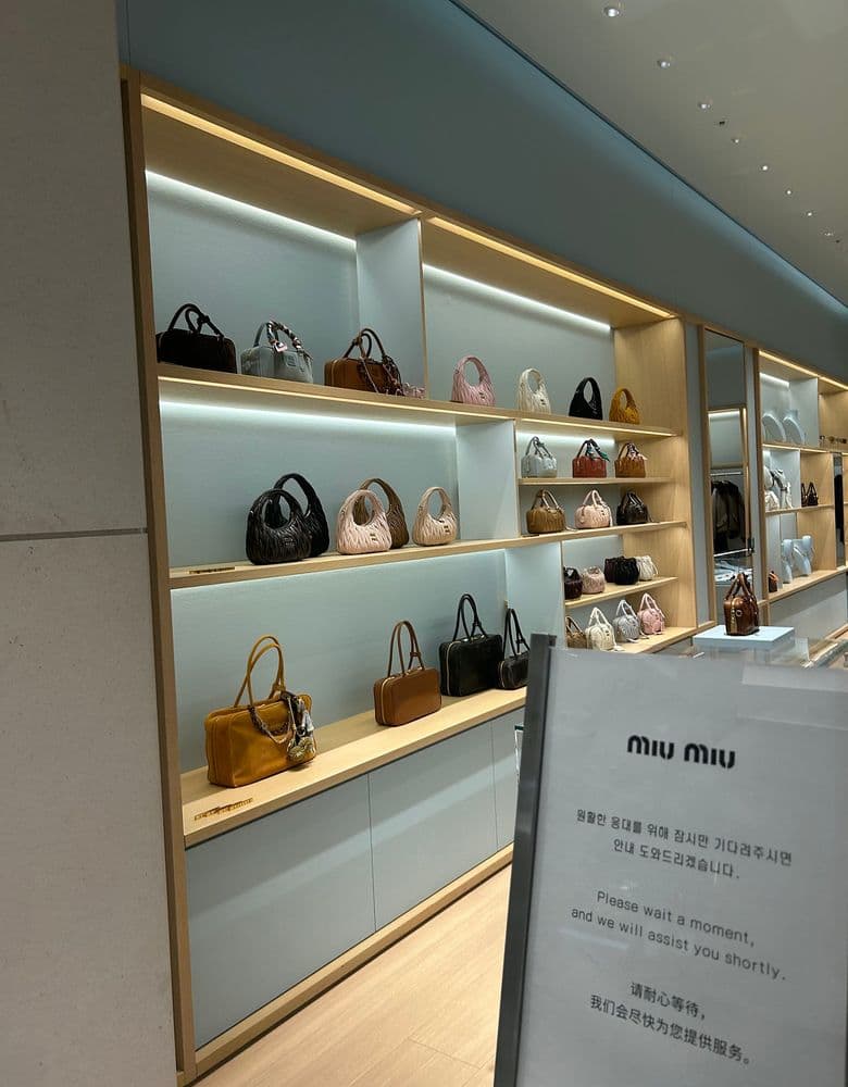 미우미우 완더백