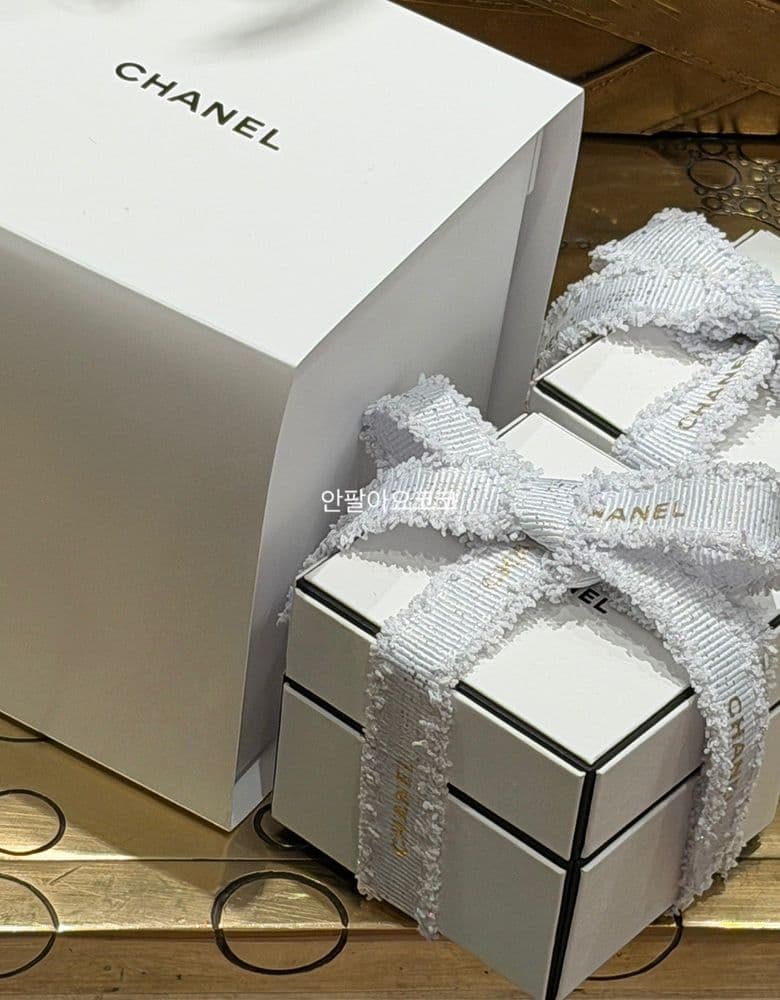 샤넬 코코 크러쉬 스몰 & 미니