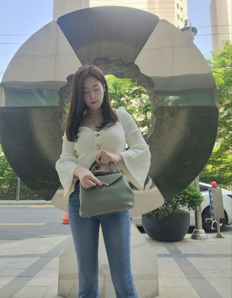 Moynat Gabrielle Bag