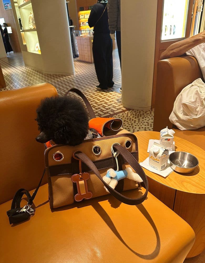 에르메스 버킨 블루진 ( 켈리백참 , 샤넬백참 )