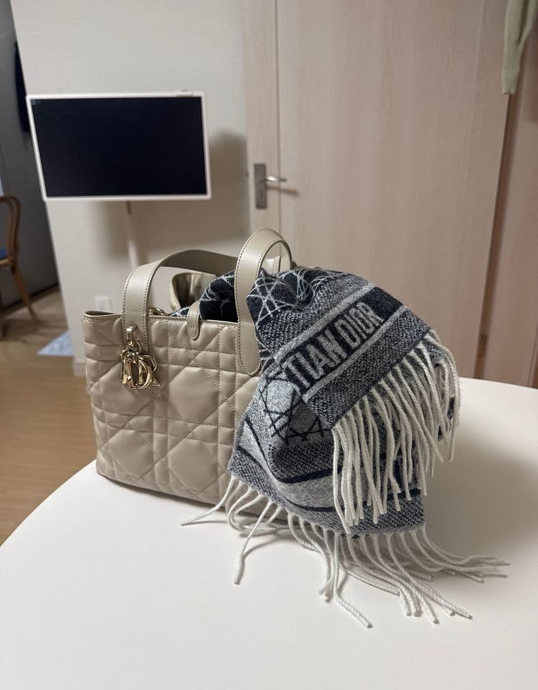 디올 뚜주흐 미디엄백 (베이지)