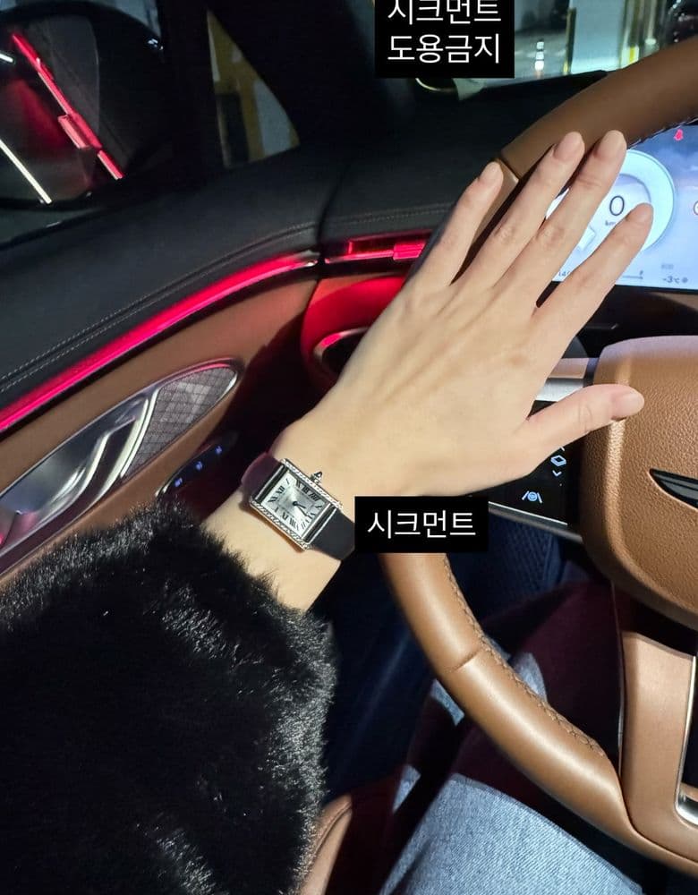 까르띠에 탱크 머스트 다이아