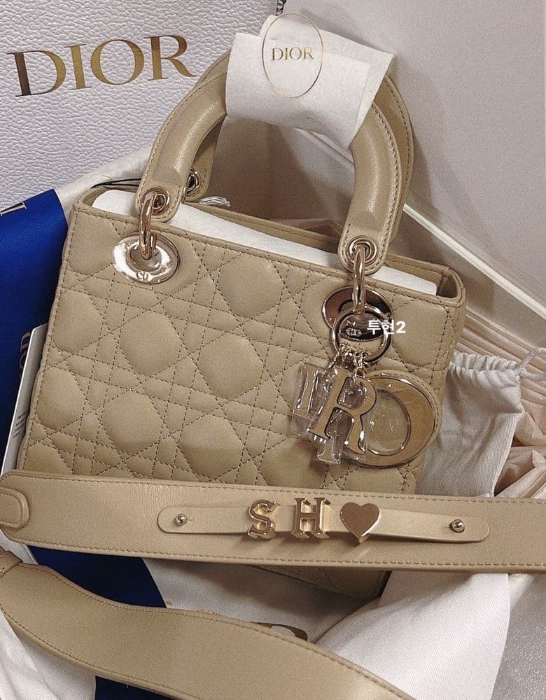 디올 레이디백
