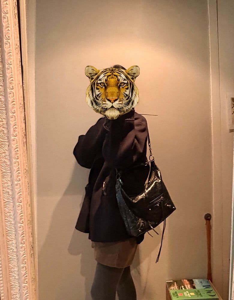 발렌시아가 르시티 호보 스몰