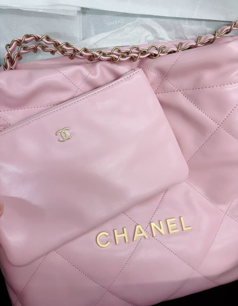 Classic Small Chanel bag, the 22 bag.