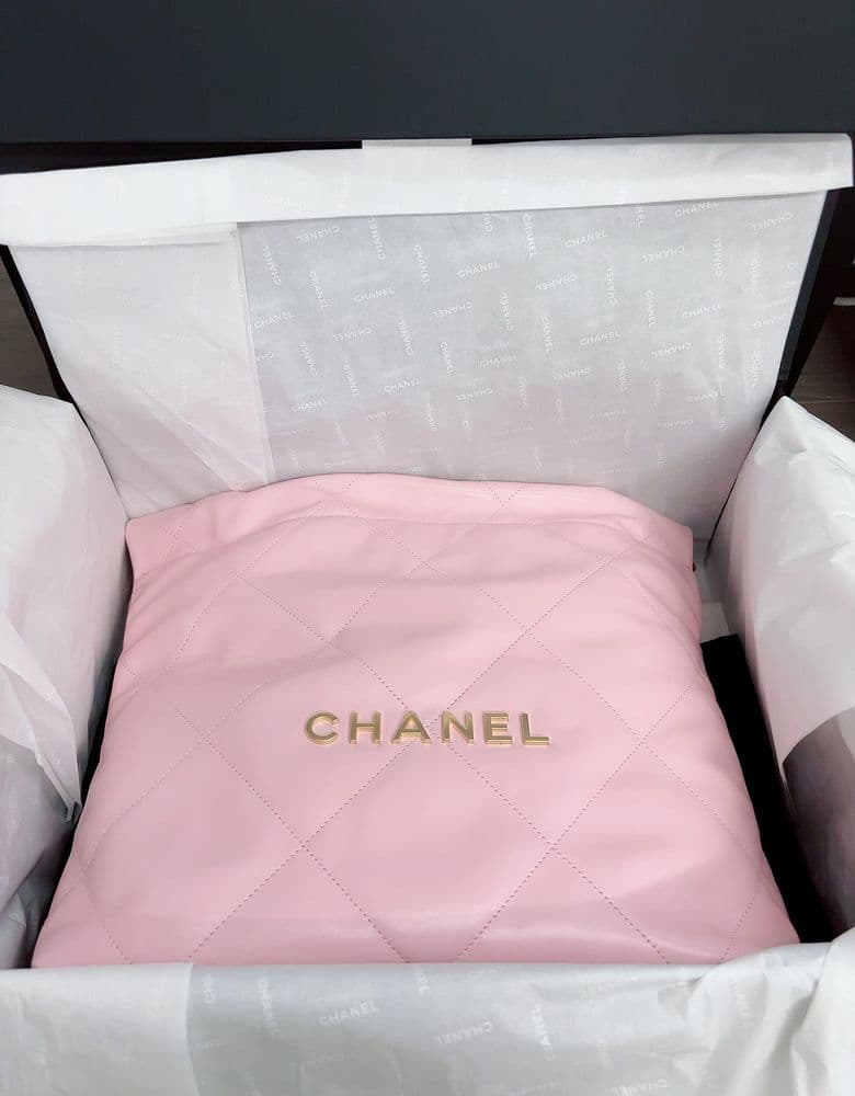 Classic Small Chanel bag, the 22 bag.