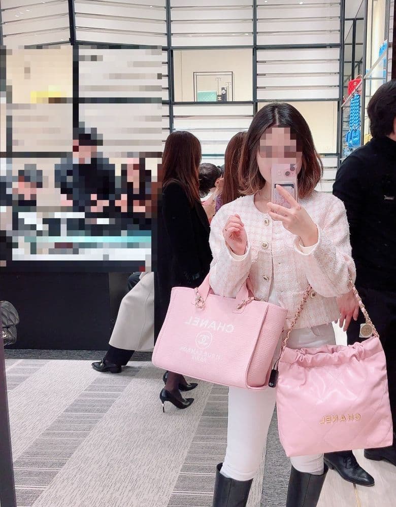 Classic Small Chanel bag, the 22 bag.